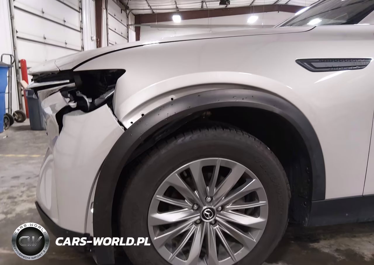2024 Mazda Cx-90 3.3 Turbo Preferred VIN:JM3KKBHD0R1142854 - 20