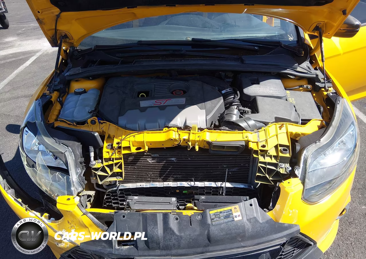 2013 Ford Focus St VIN:1FADP3L94DL252126 - 10