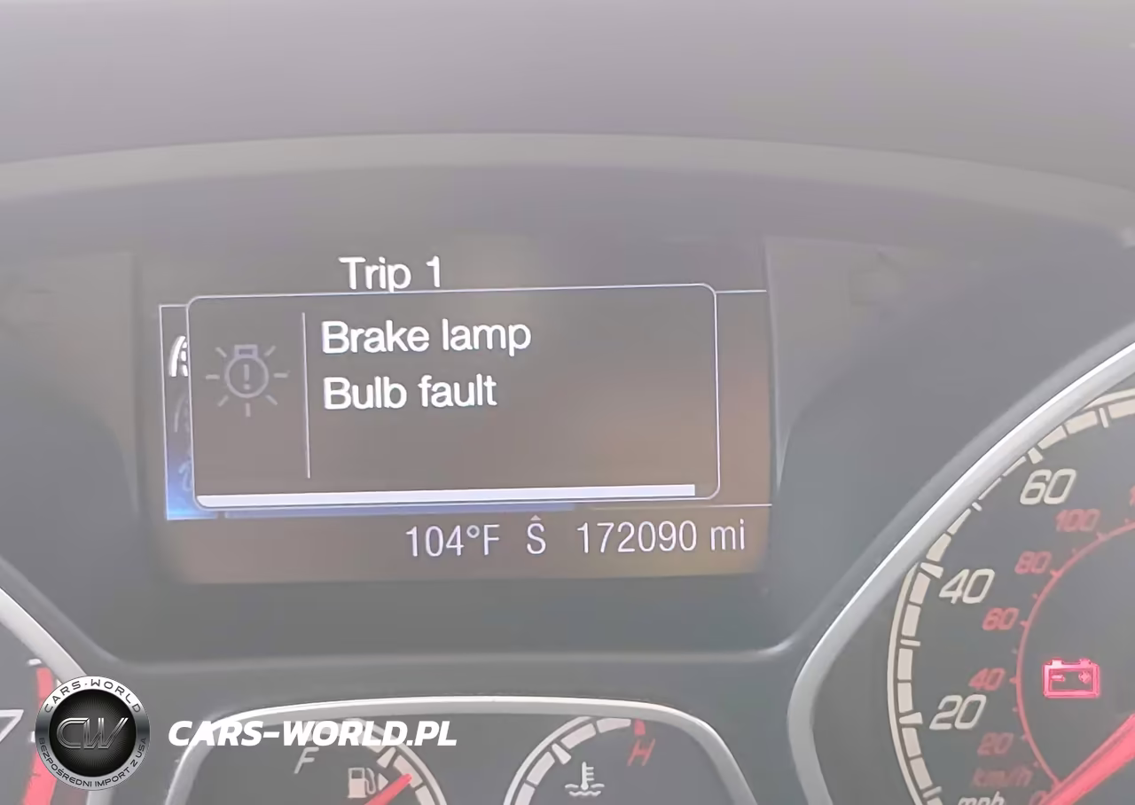 2013 Ford Focus St VIN:1FADP3L94DL252126 - 15