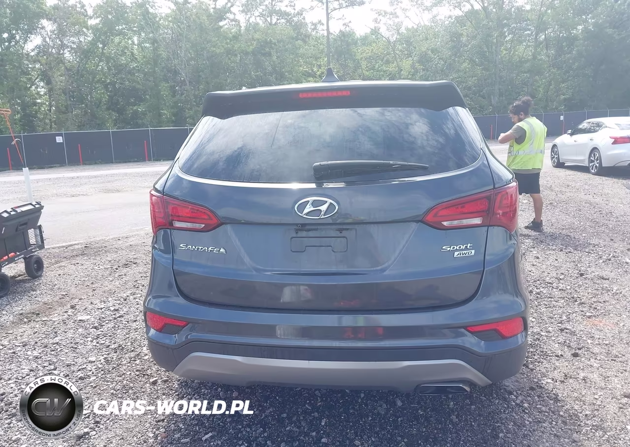 2017 Hyundai Santa Fe Sport 2.4L VIN:5XYZTDLB6HG456948 - 17