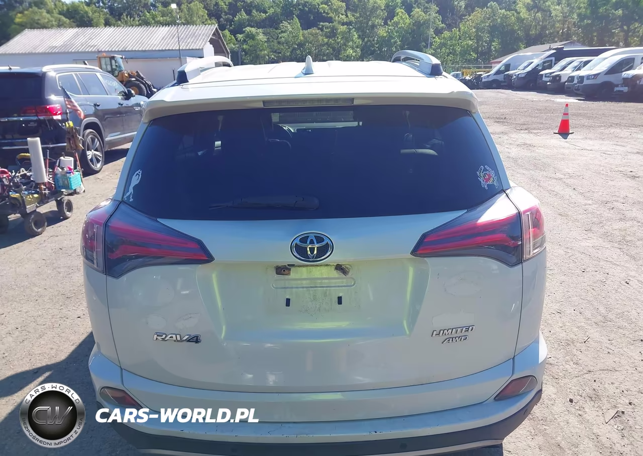 2017 Toyota Rav4 Limited VIN:JTMDFREV0HJ121142 - 17