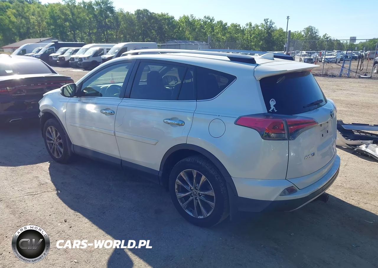 2017 Toyota Rav4 Limited VIN:JTMDFREV0HJ121142 - 3