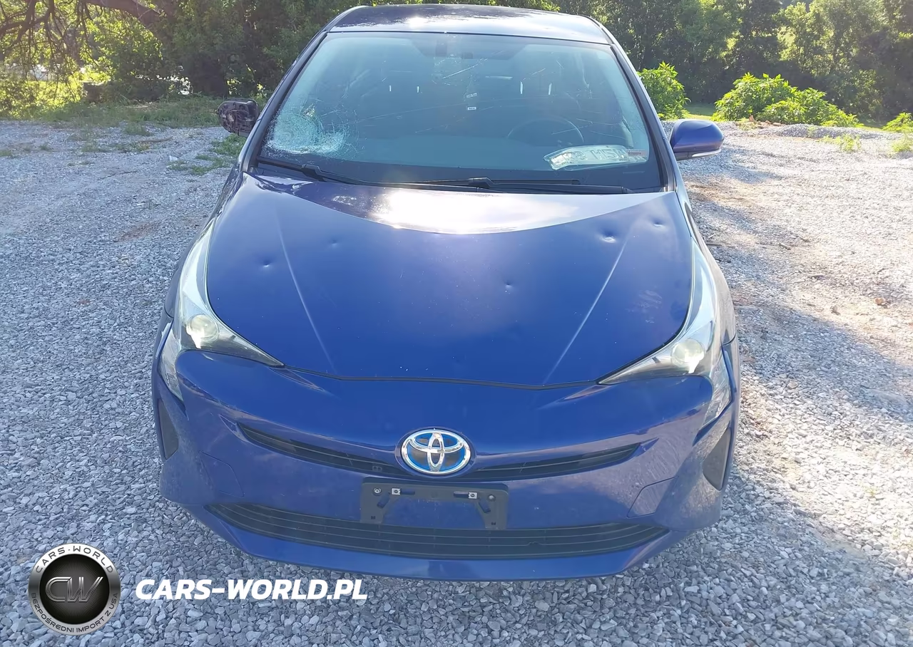 2016 Toyota Prius Three VIN:JTDKARFU8G3521027 - 12