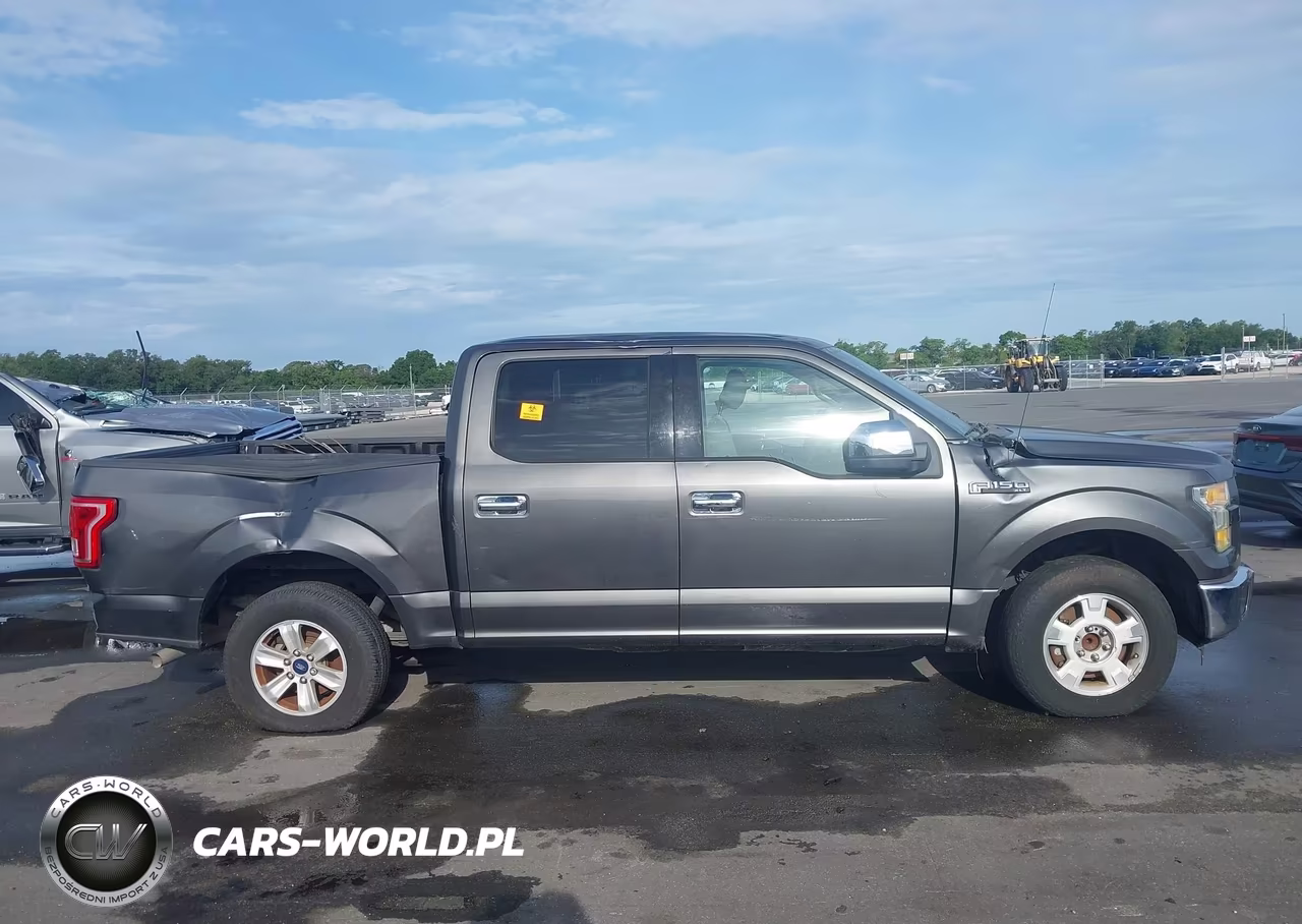 2015 Ford F-150 Xlt VIN:1FTEW1CF4FFA73162 - 13