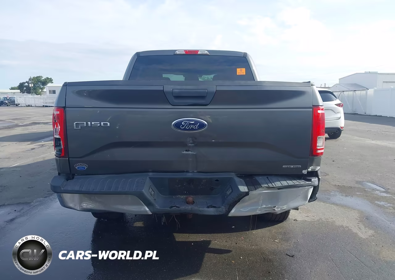 2015 Ford F-150 Xlt VIN:1FTEW1CF4FFA73162 - 16