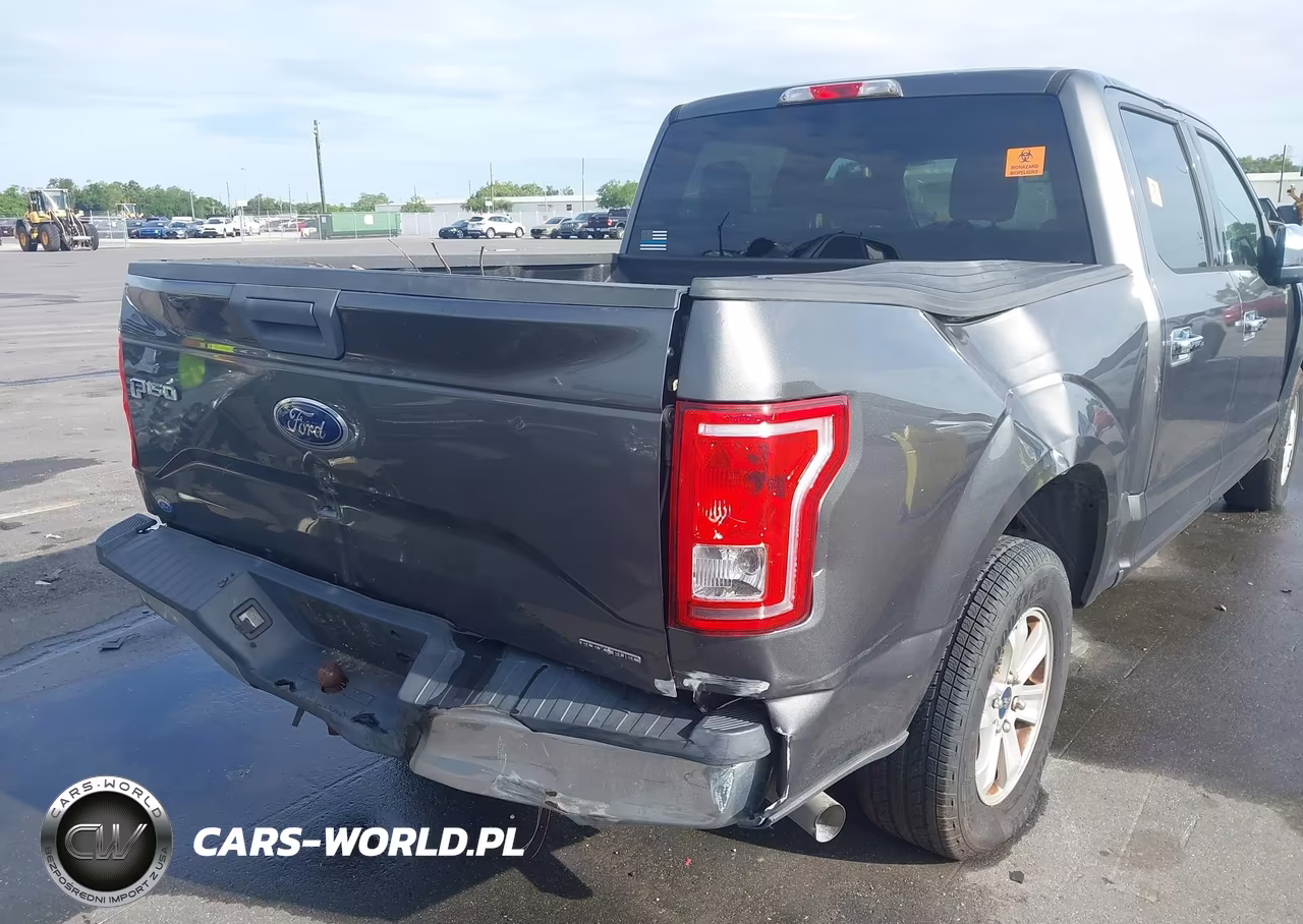 2015 Ford F-150 Xlt VIN:1FTEW1CF4FFA73162 - 19