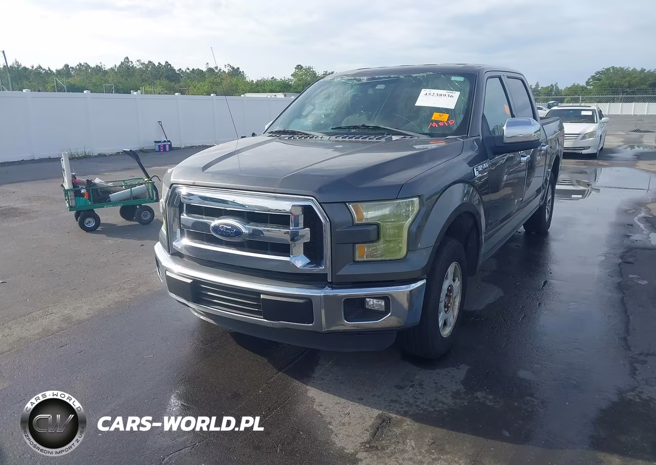 2015 Ford F-150 Xlt VIN:1FTEW1CF4FFA73162 - 2