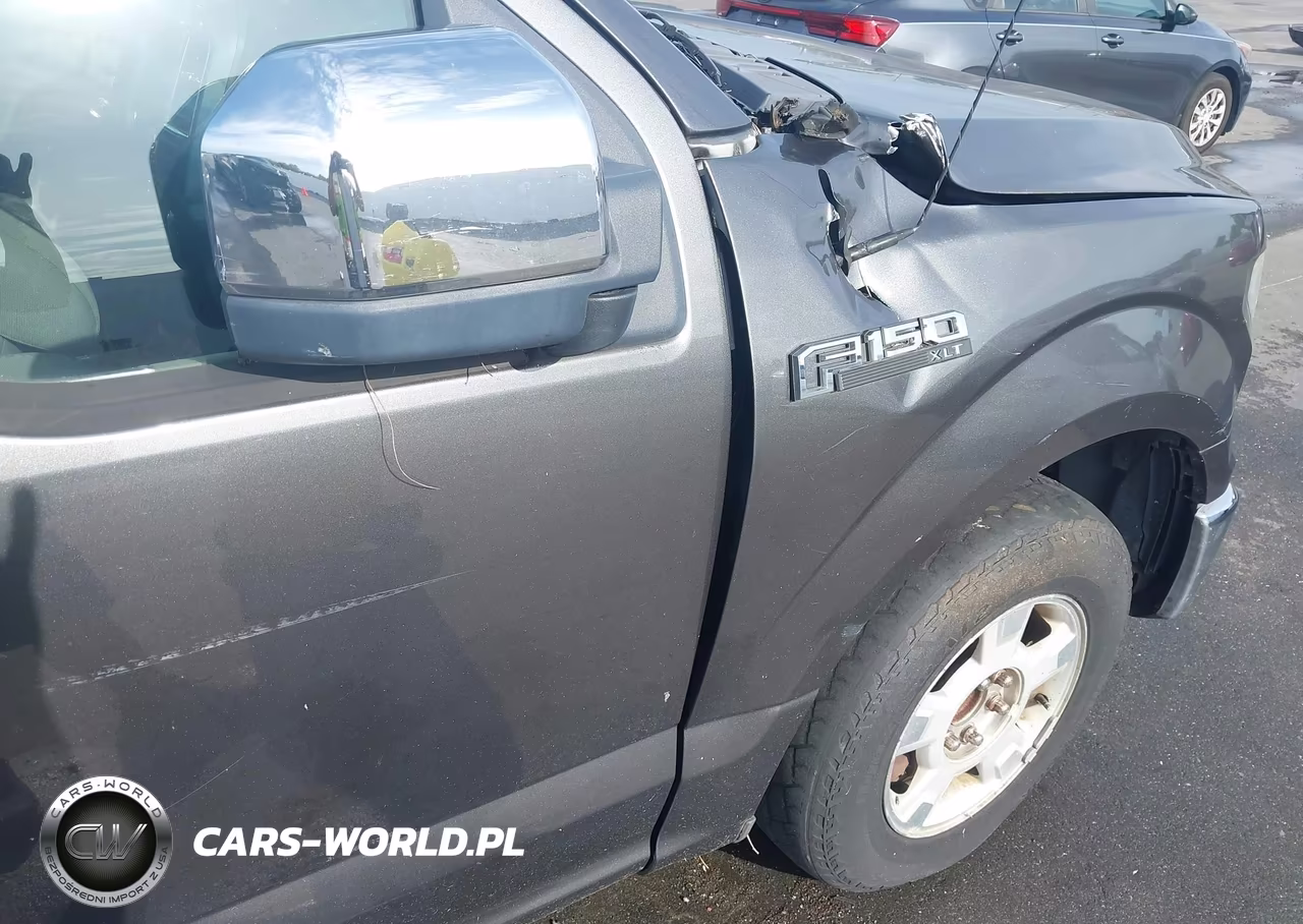 2015 Ford F-150 Xlt VIN:1FTEW1CF4FFA73162 - 20
