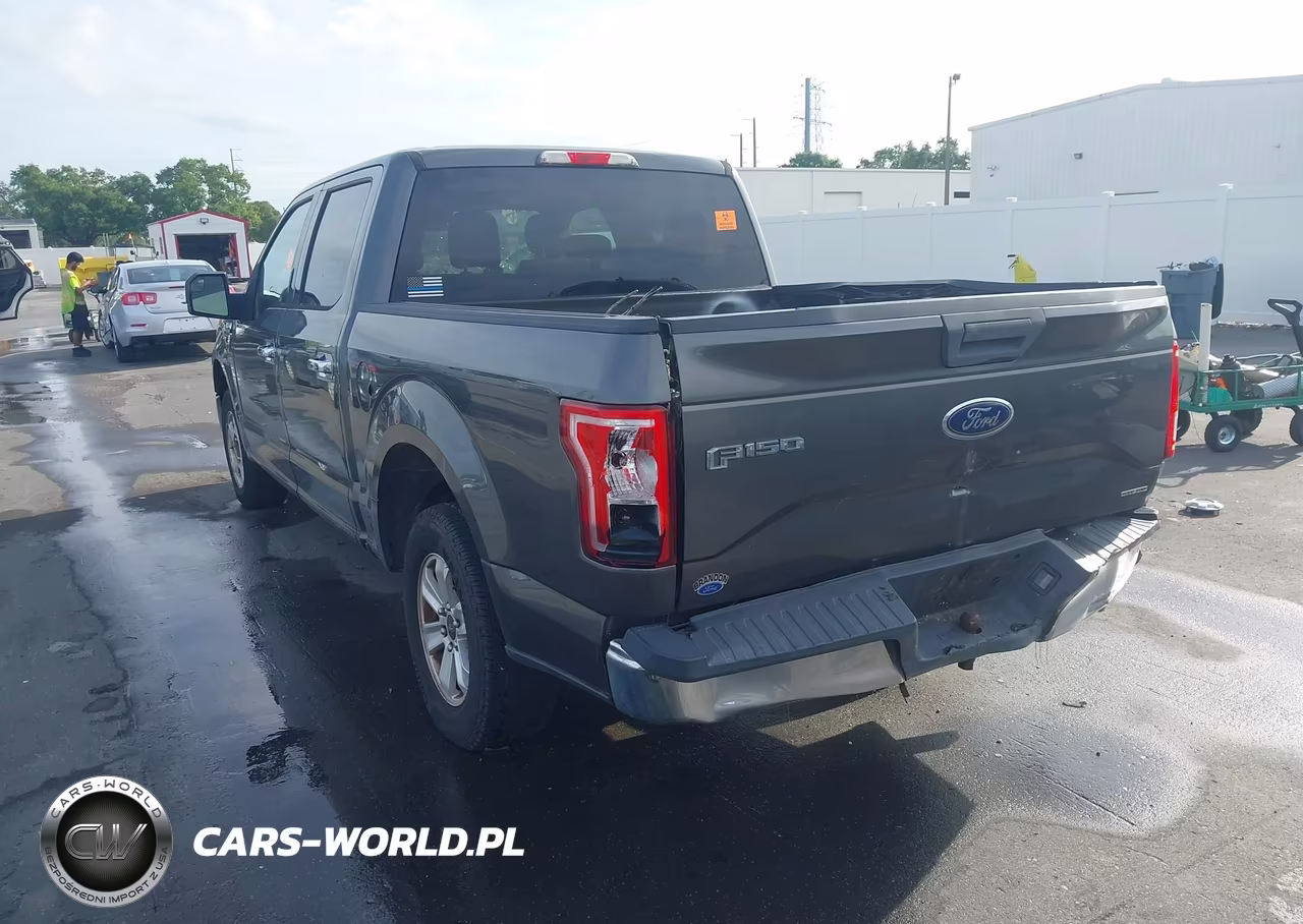 2015 Ford F-150 Xlt VIN:1FTEW1CF4FFA73162 - 3