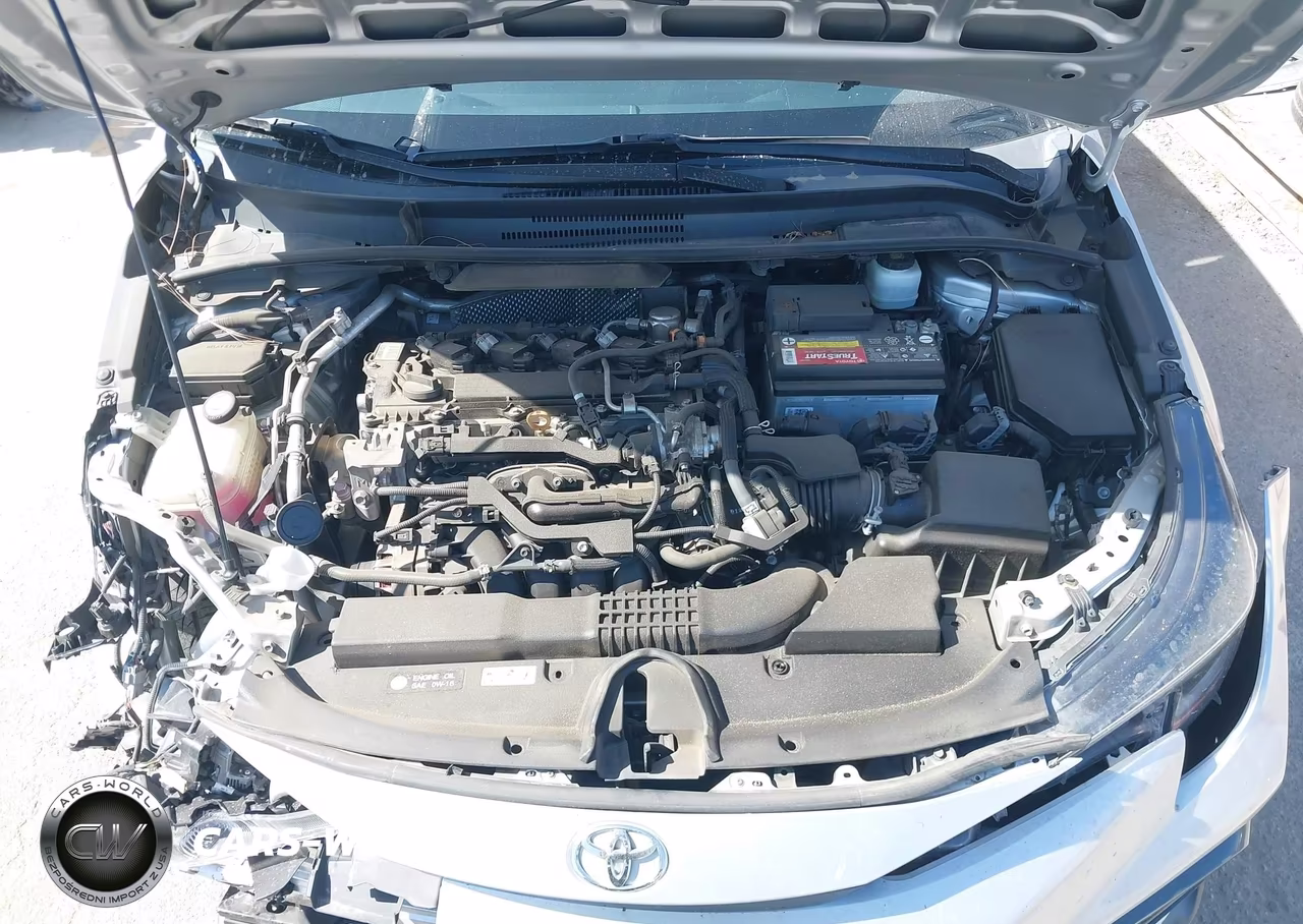2020 Toyota Corolla Se 6Mt VIN:5YFM4RCE4LP044319 - 10