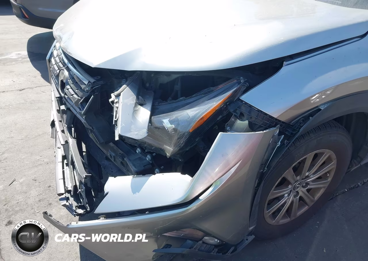 2019 Lexus Nx 300 VIN:JTJYARBZXK2128962 - 12
