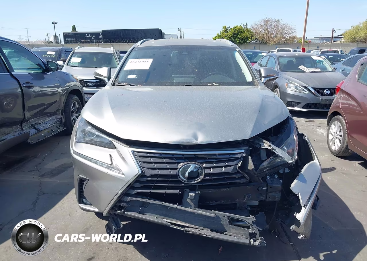 2019 Lexus Nx 300 VIN:JTJYARBZXK2128962 - 13
