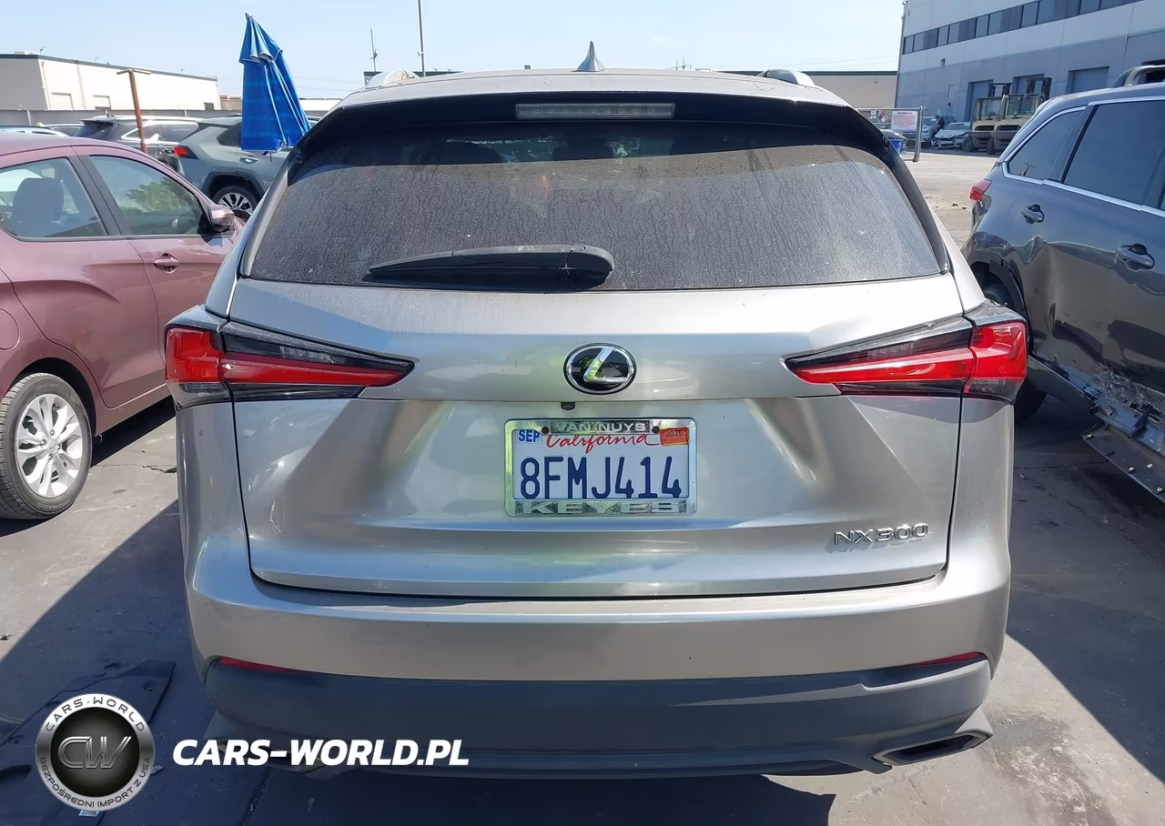 2019 Lexus Nx 300 VIN:JTJYARBZXK2128962 - 17