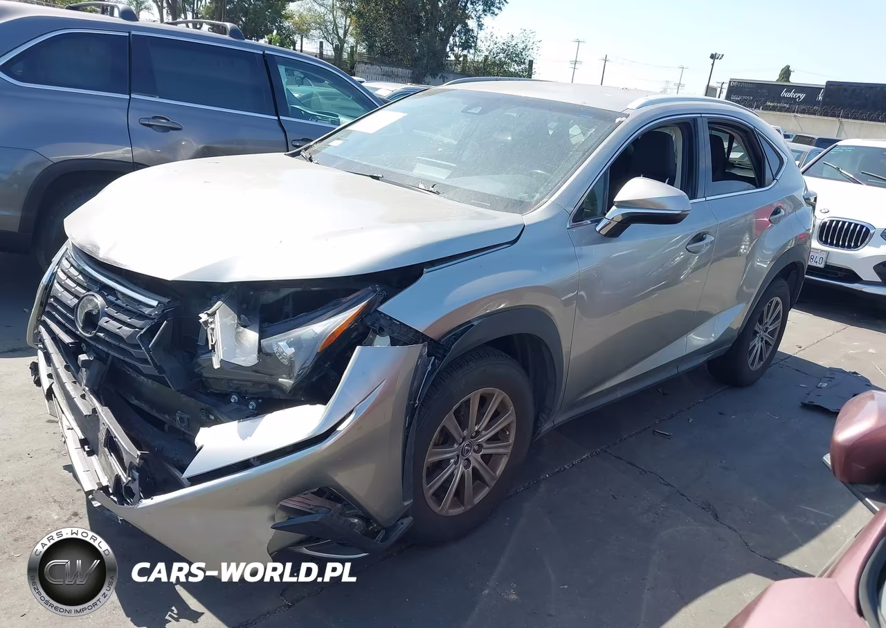 2019 Lexus Nx 300 VIN:JTJYARBZXK2128962 - 2