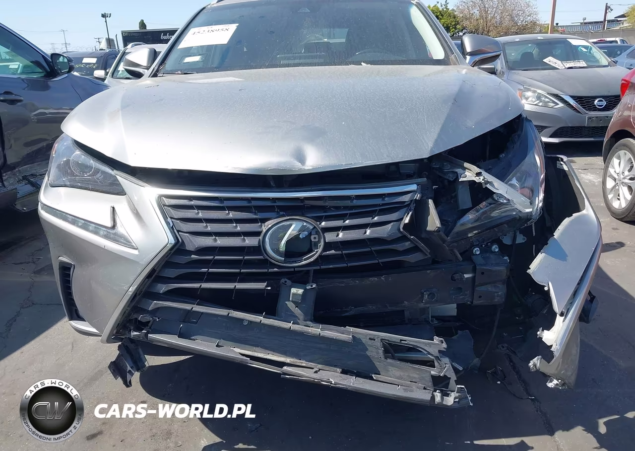 2019 Lexus Nx 300 VIN:JTJYARBZXK2128962 - 6