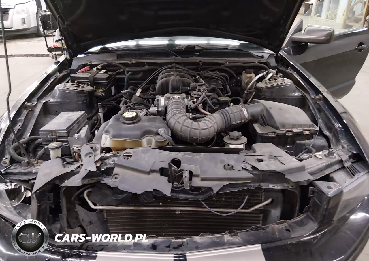 2009 Ford Mustang V6-V6 Premium VIN:1ZVHT84N895115778 - 10