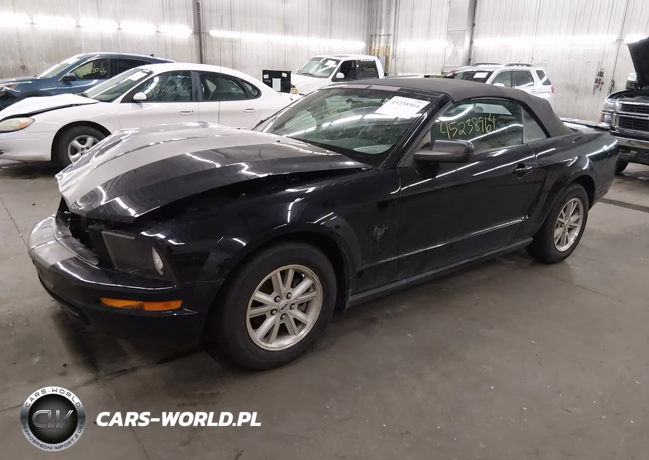 2009 Ford Mustang V6-V6 Premium VIN:1ZVHT84N895115778 - 2
