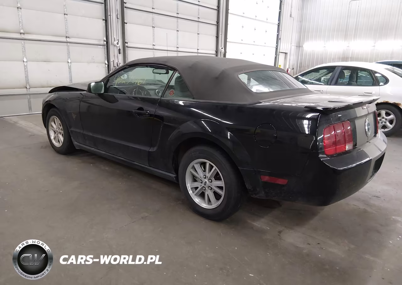2009 Ford Mustang V6-V6 Premium VIN:1ZVHT84N895115778 - 3