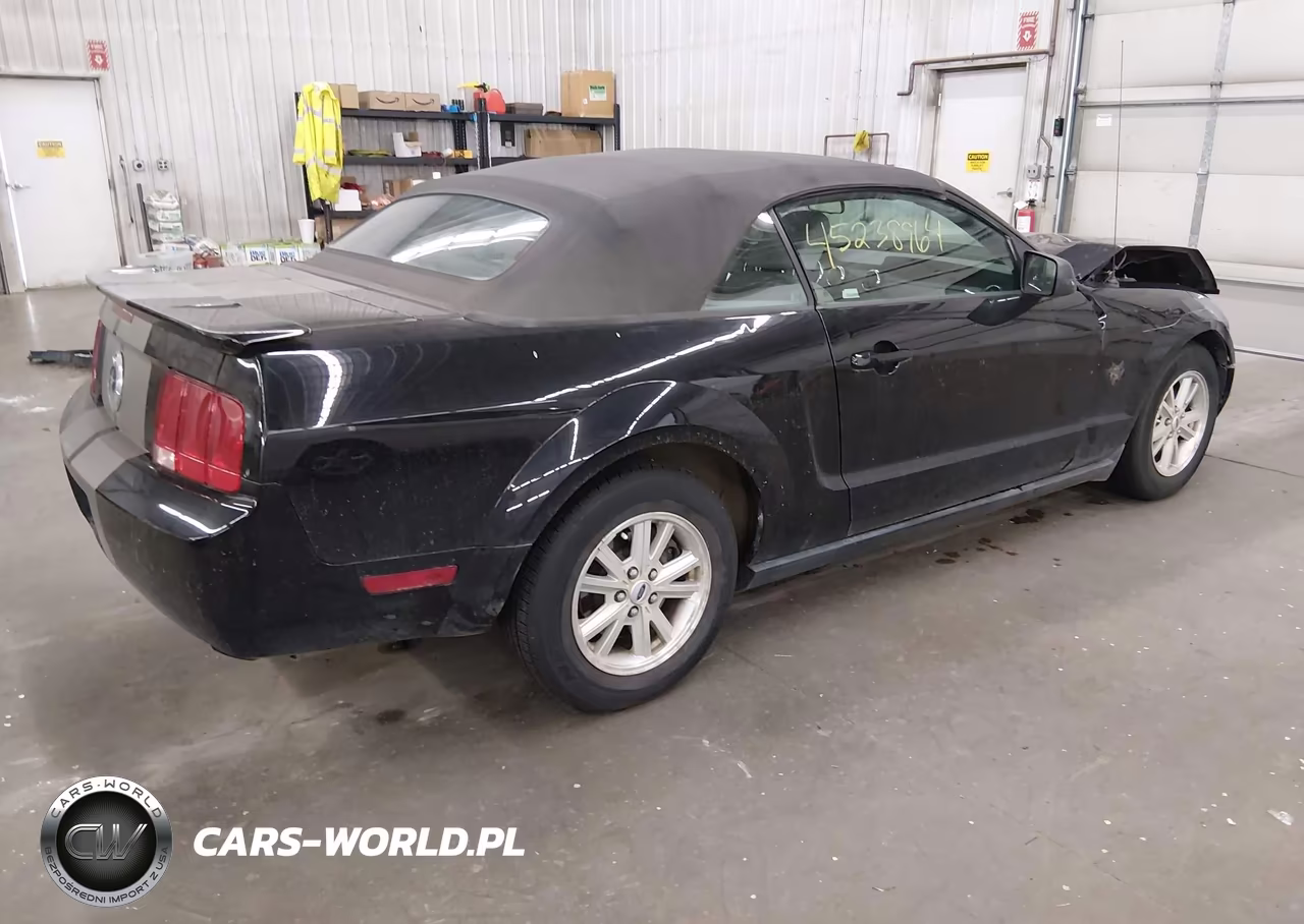 2009 Ford Mustang V6-V6 Premium VIN:1ZVHT84N895115778 - 4
