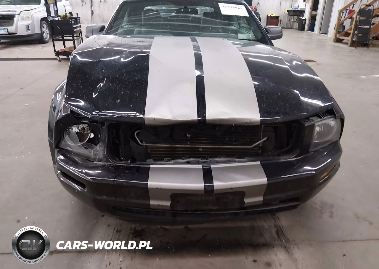 2009 Ford Mustang V6-V6 Premium VIN:1ZVHT84N895115778 - 6
