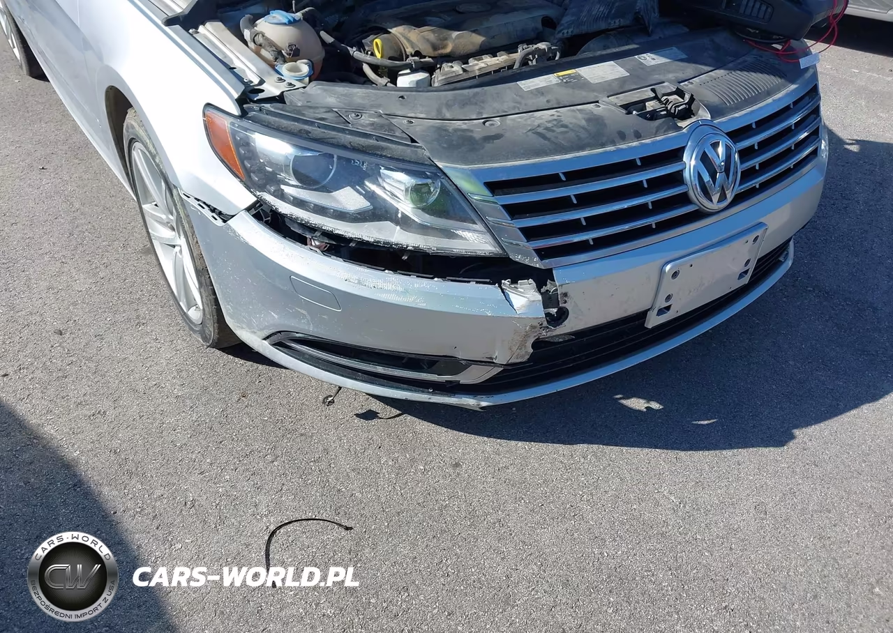 2014 Volkswagen Cc 2.0T Sport VIN:WVWBN7AN5EE540192 - 12