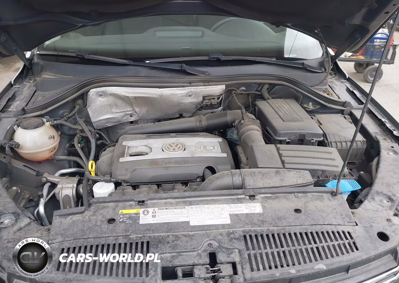 2017 Volkswagen Tiguan 2.0T-2.0T S VIN:WVGAV7AX4HK044363 - 10