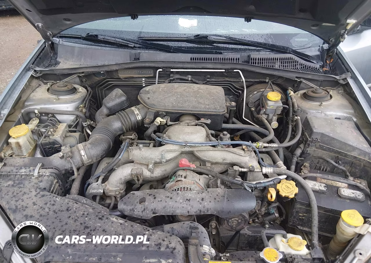 2009 Subaru Outback 2.5I VIN:4S4BP61C797343338 - 10