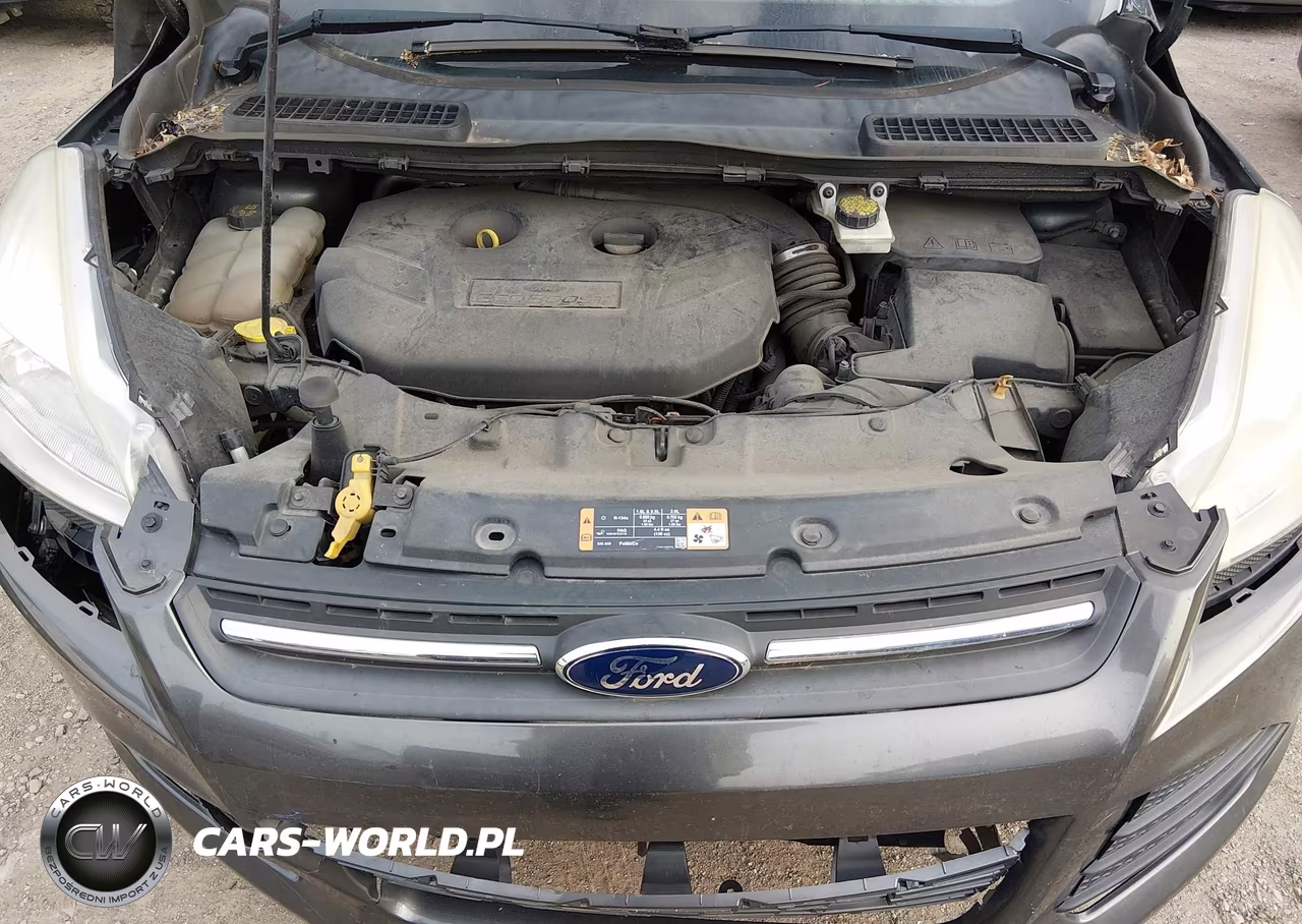 2016 Ford Escape Se VIN:1FMCU9G91GUB93798 - 10