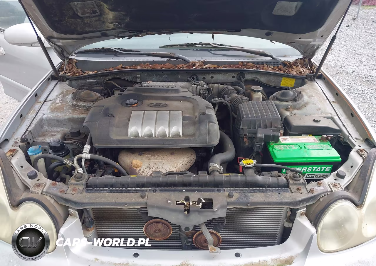 2003 Hyundai Sonata VIN:KMHWF25S53A723853 - 10