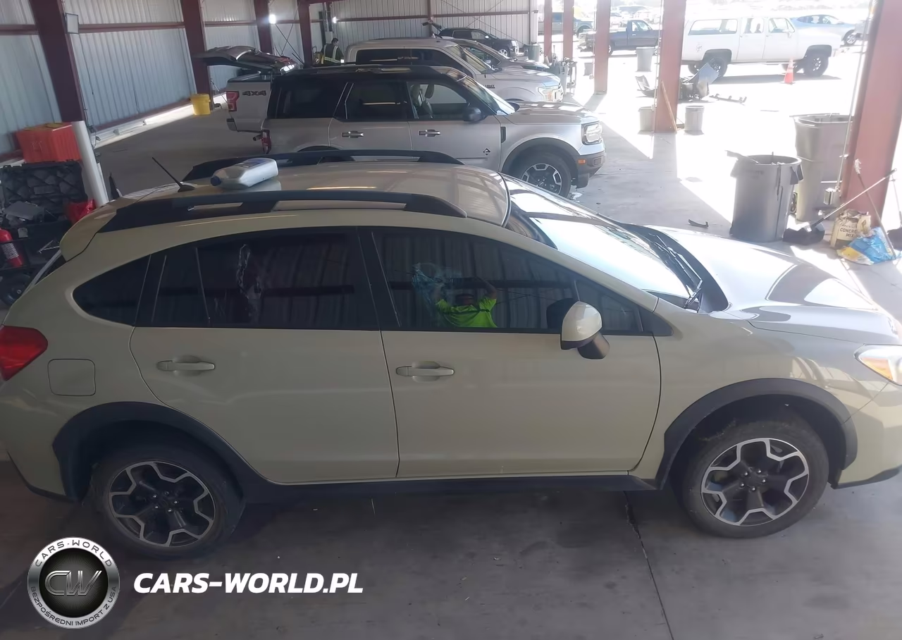 2013 Subaru Xv Crosstrek 2.0I Premium VIN:JF2GPACC2DG857263 - 13