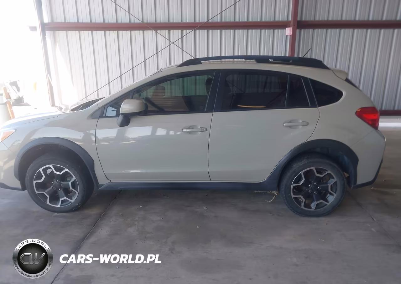 2013 Subaru Xv Crosstrek 2.0I Premium VIN:JF2GPACC2DG857263 - 14