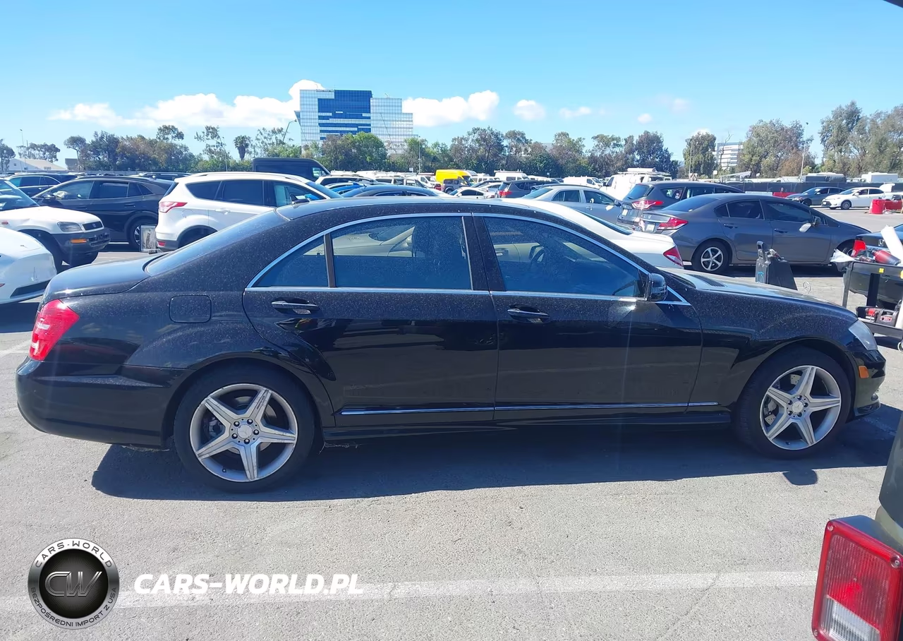 2010 Mercedes-Benz S 550 VIN:WDDNG7BB8AA337462 - 13