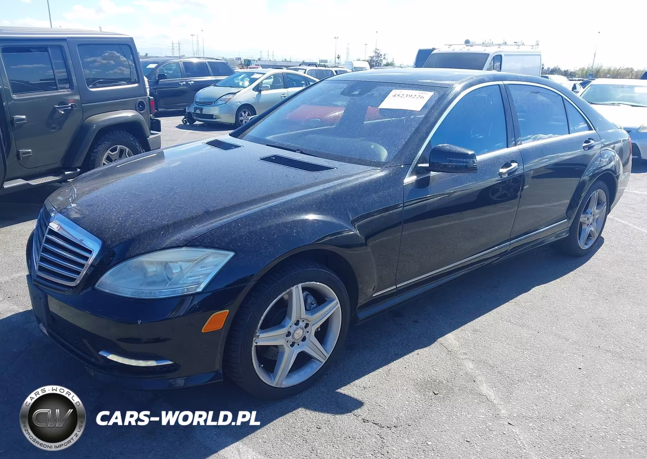 2010 Mercedes-Benz S 550 VIN:WDDNG7BB8AA337462 - 2