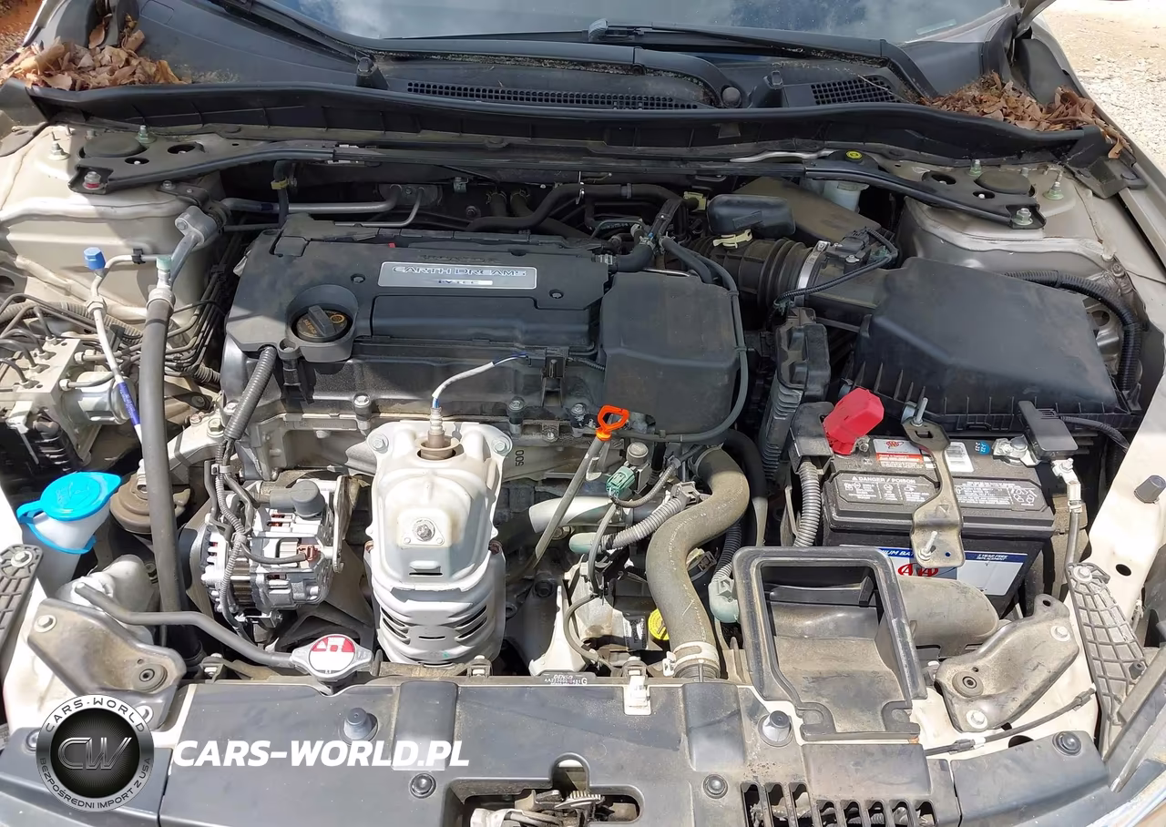 2014 Honda Accord Ex-L VIN:1HGCR2F82EA146513 - 10