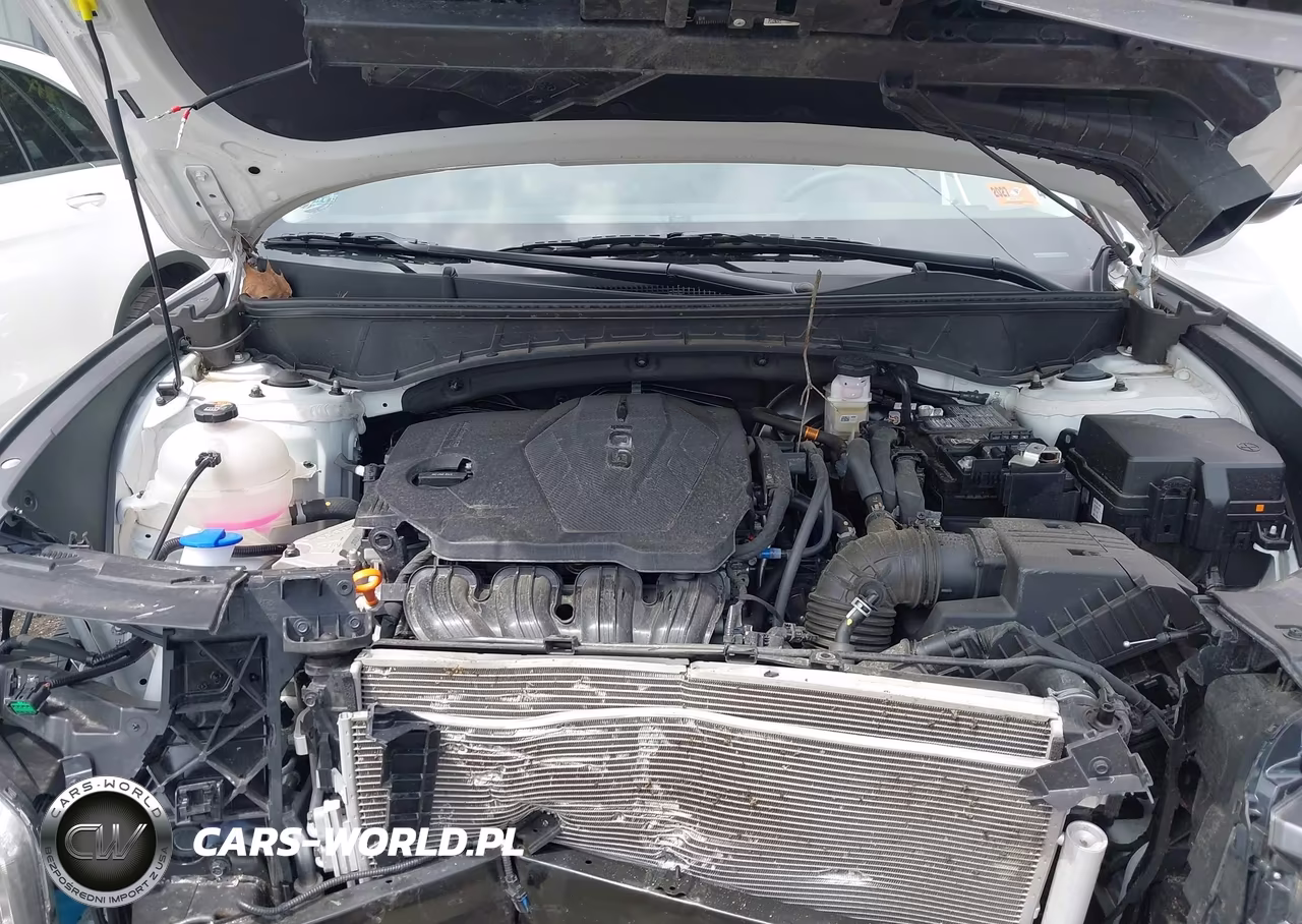 2025 Hyundai Tucson Se VIN:5NMJACDEXSH557686 - 10