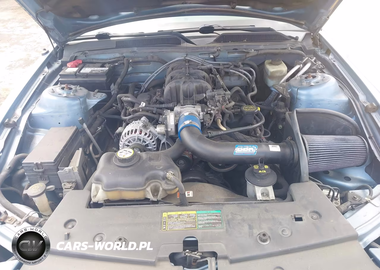 2005 Ford Mustang V6 Deluxe-V6 Premium VIN:1ZVFT80N055252169 - 10