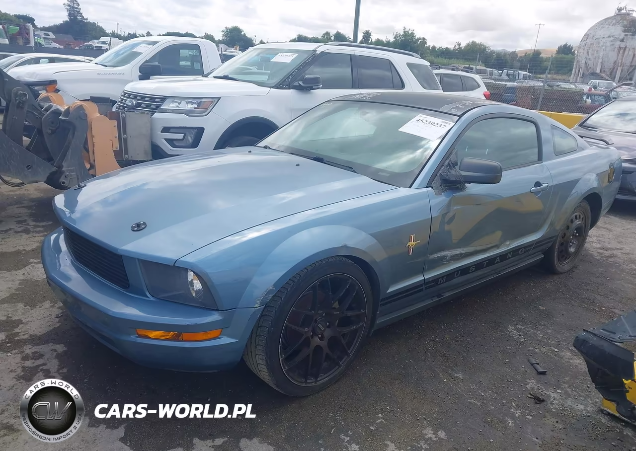 2005 Ford Mustang V6 Deluxe-V6 Premium VIN:1ZVFT80N055252169 - 2