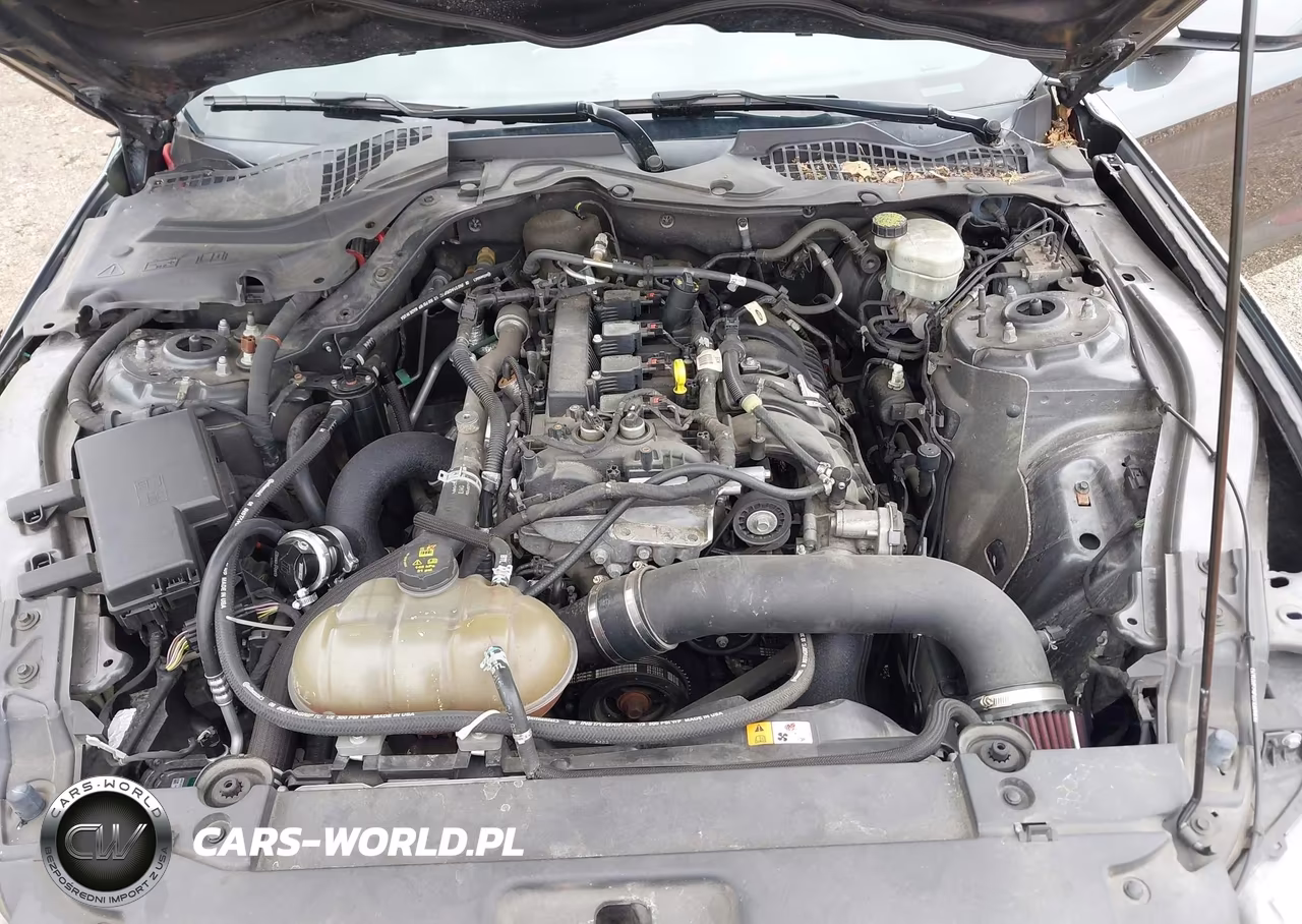 2016 Ford Mustang Ecoboost VIN:1FA6P8TH0G5232106 - 10