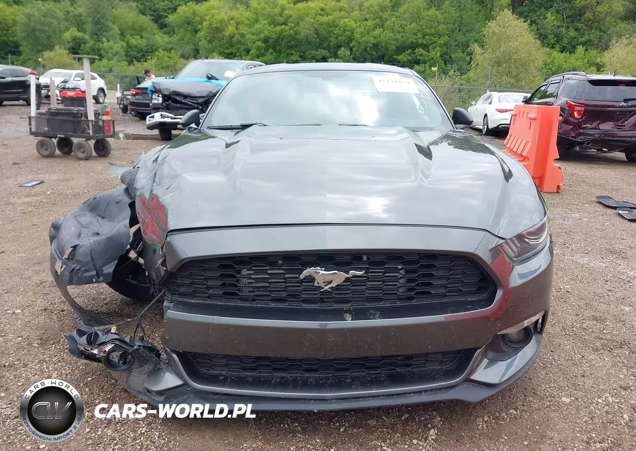2016 Ford Mustang Ecoboost VIN:1FA6P8TH0G5232106 - 12