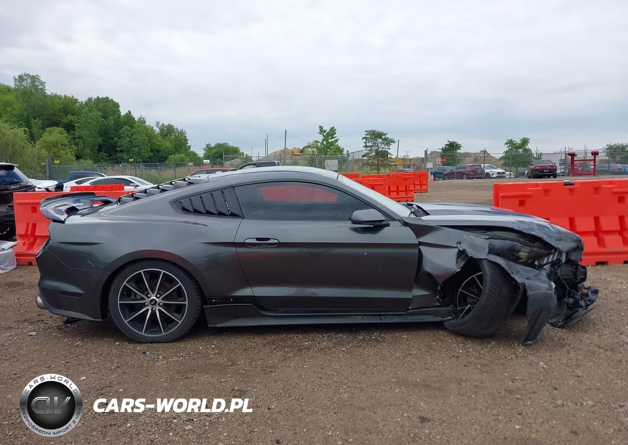 2016 Ford Mustang Ecoboost VIN:1FA6P8TH0G5232106 - 13