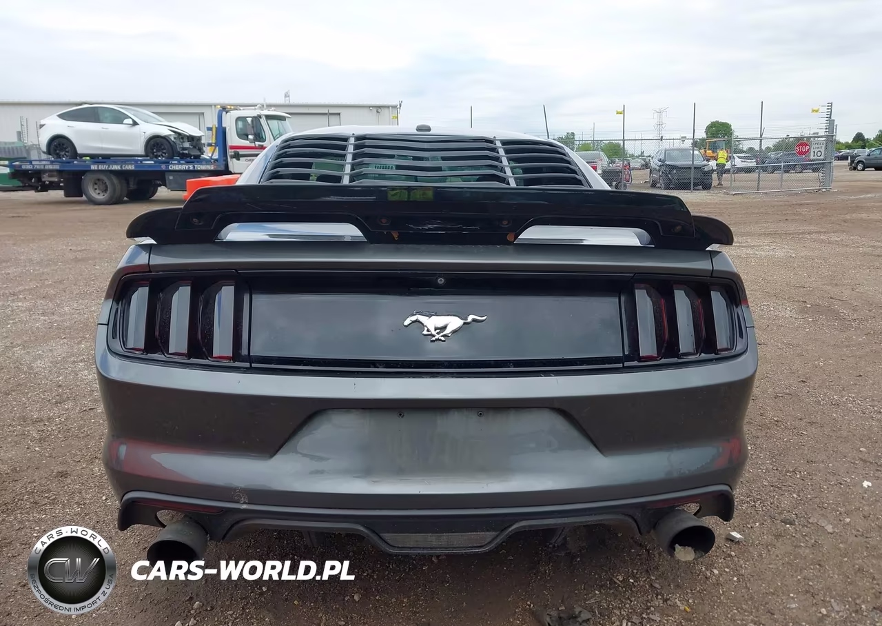 2016 Ford Mustang Ecoboost VIN:1FA6P8TH0G5232106 - 16
