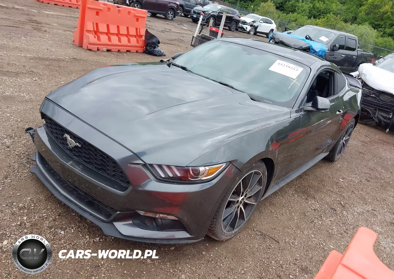 2016 Ford Mustang Ecoboost VIN:1FA6P8TH0G5232106 - 2
