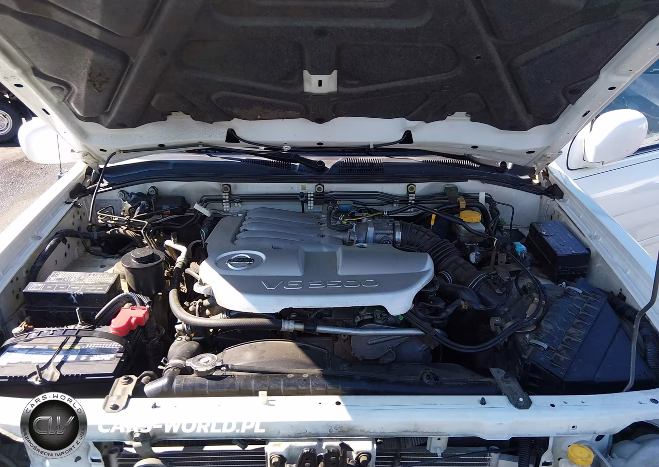 2004 Nissan Pathfinder Le Platinum VIN:JN8DR09Y24W900468 - 10