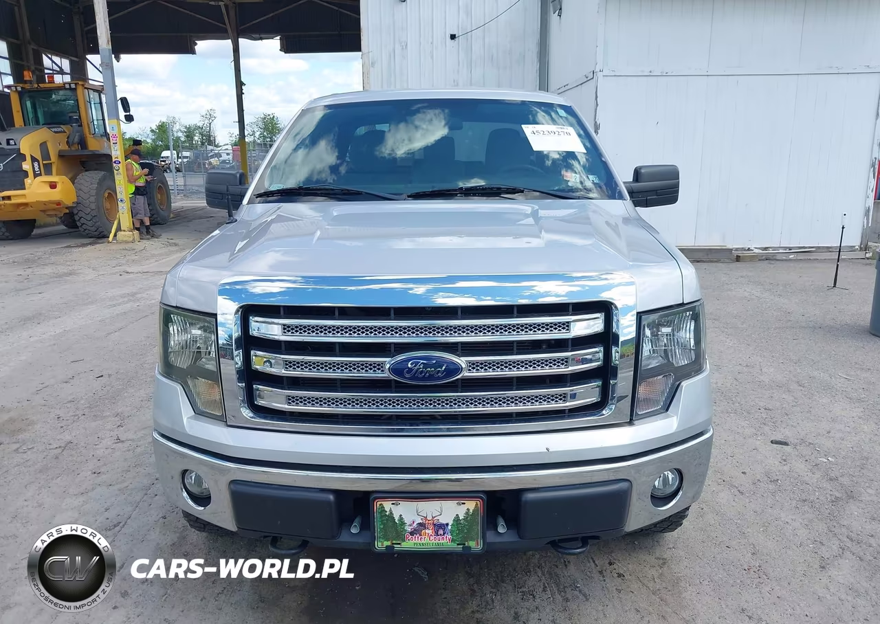 2013 Ford F-150 Xlt VIN:1FTFX1EF8DKG04642 - 13
