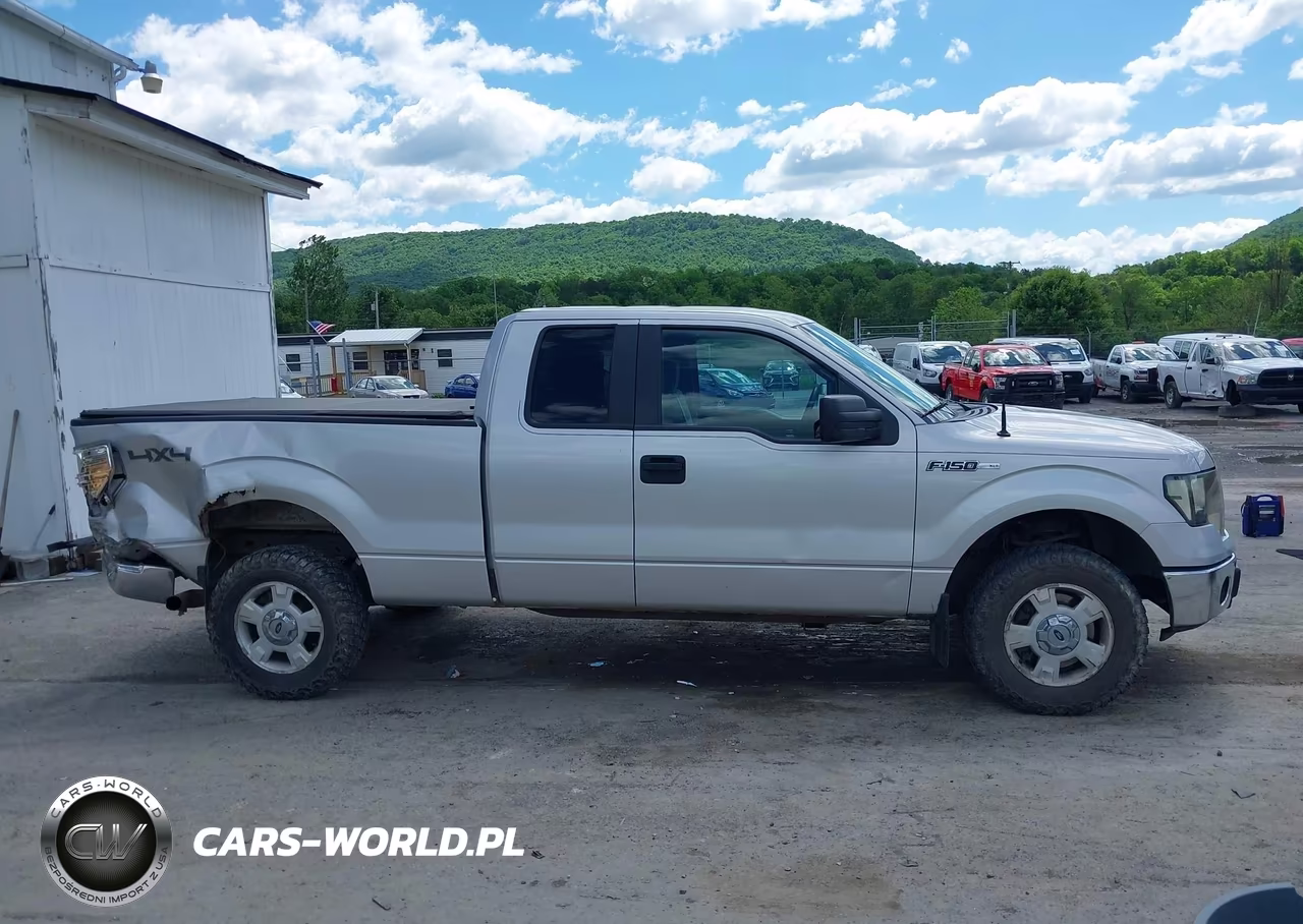 2013 Ford F-150 Xlt VIN:1FTFX1EF8DKG04642 - 14