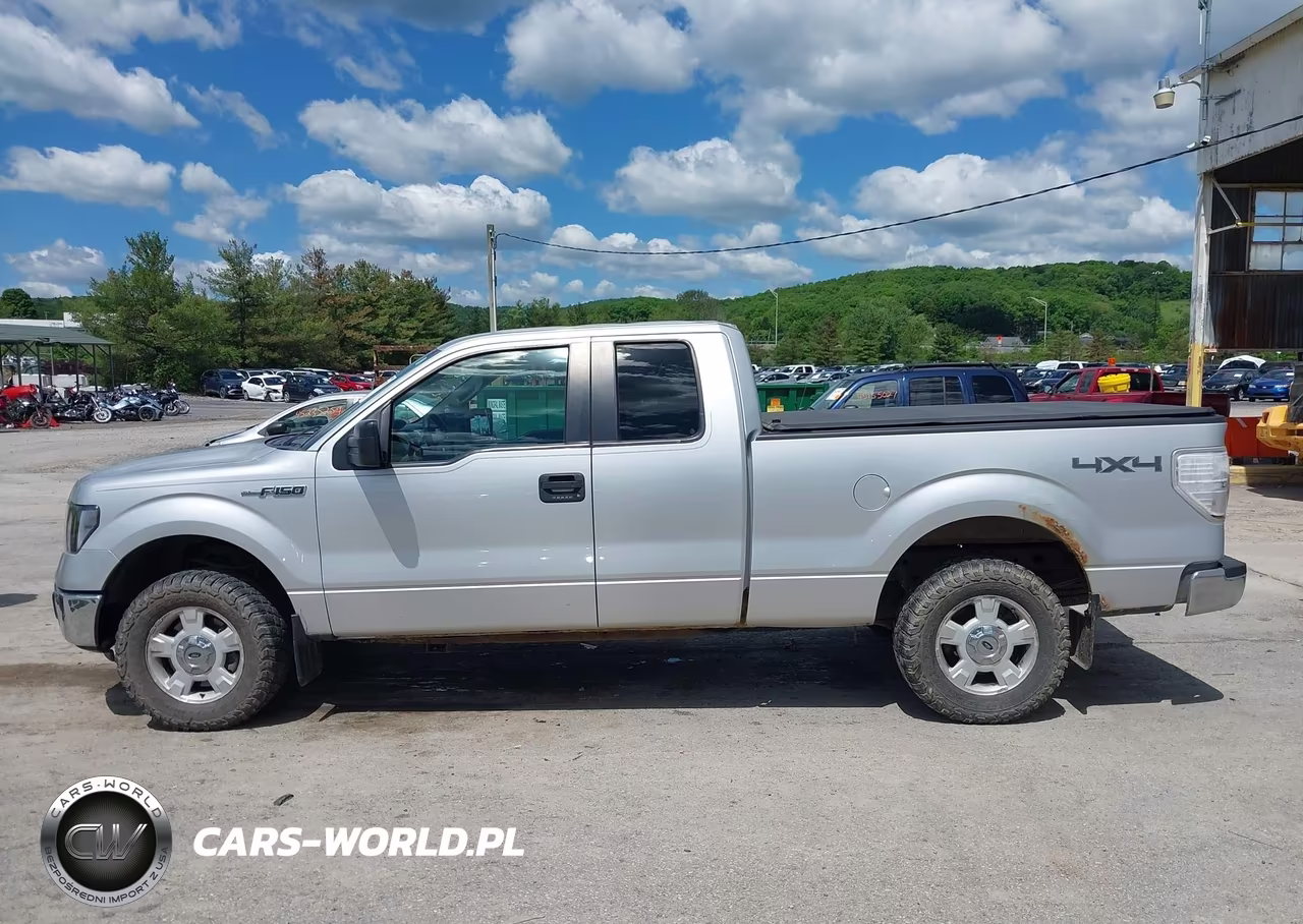 2013 Ford F-150 Xlt VIN:1FTFX1EF8DKG04642 - 15
