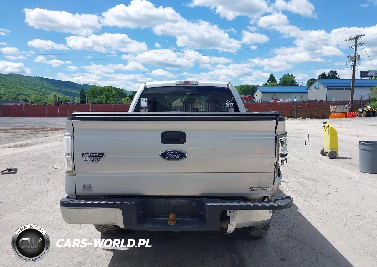 2013 Ford F-150 Xlt VIN:1FTFX1EF8DKG04642 - 17