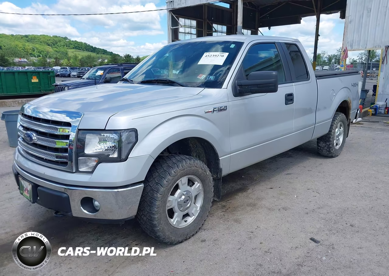 2013 Ford F-150 Xlt VIN:1FTFX1EF8DKG04642 - 2