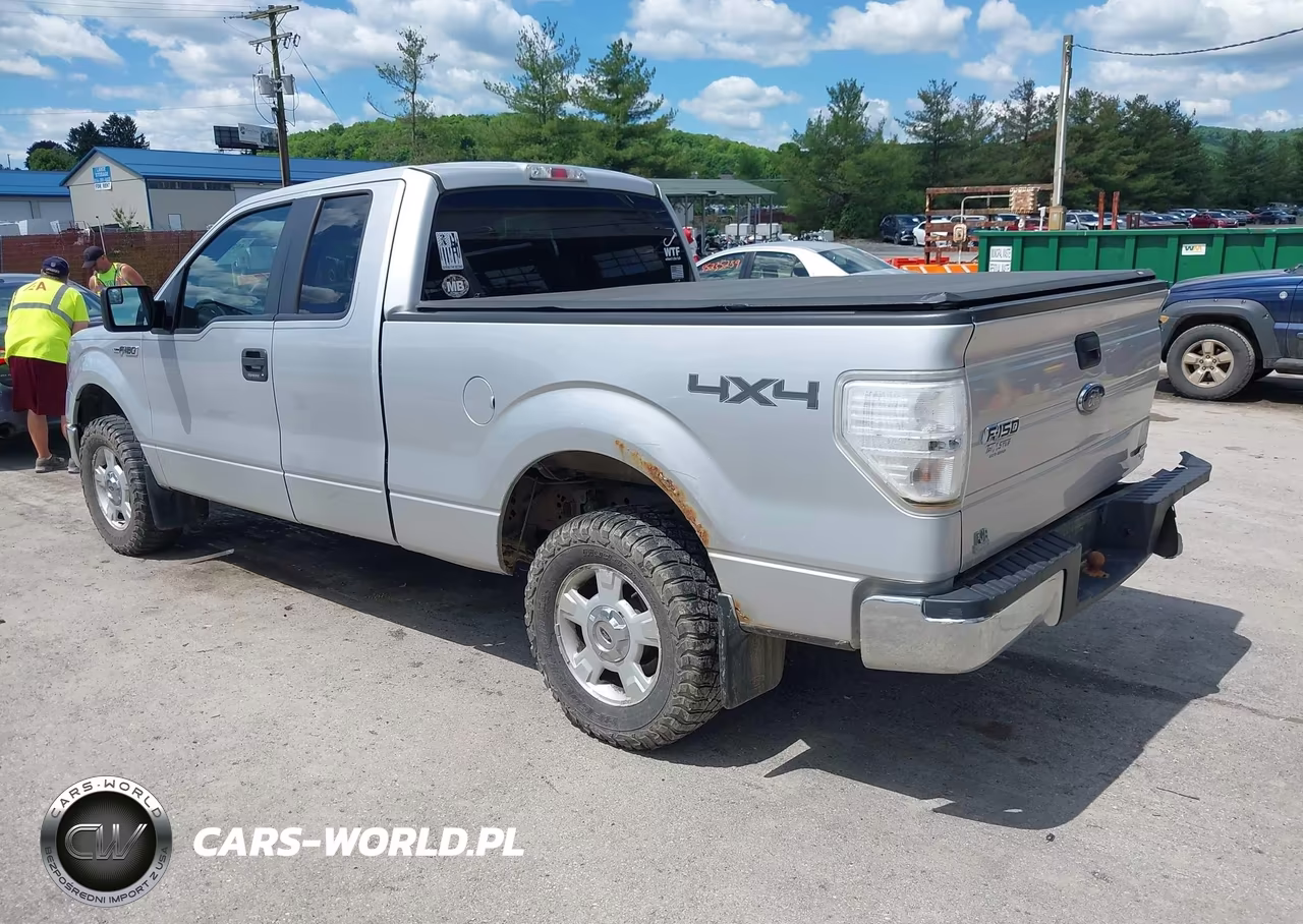 2013 Ford F-150 Xlt VIN:1FTFX1EF8DKG04642 - 3