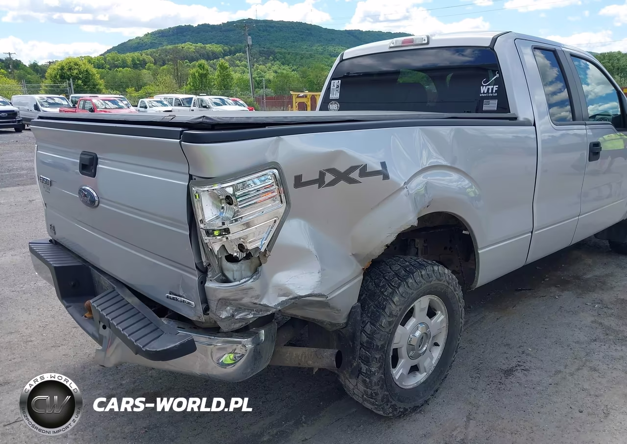 2013 Ford F-150 Xlt VIN:1FTFX1EF8DKG04642 - 6